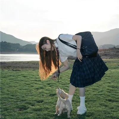 机器战犬